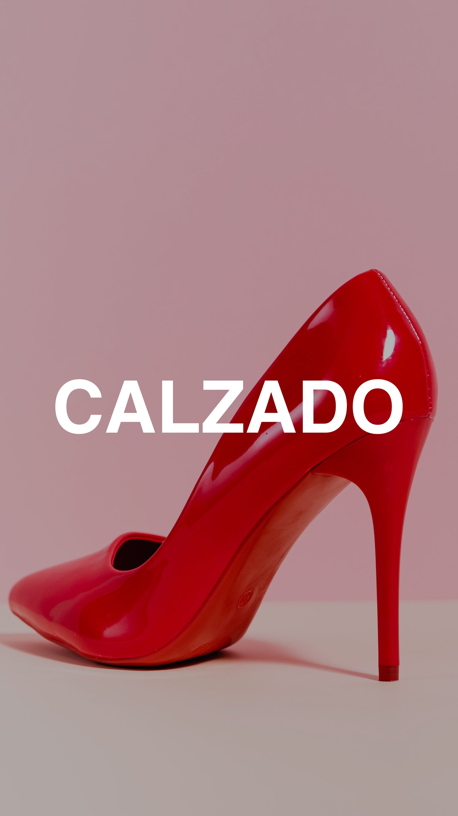 CALZADO